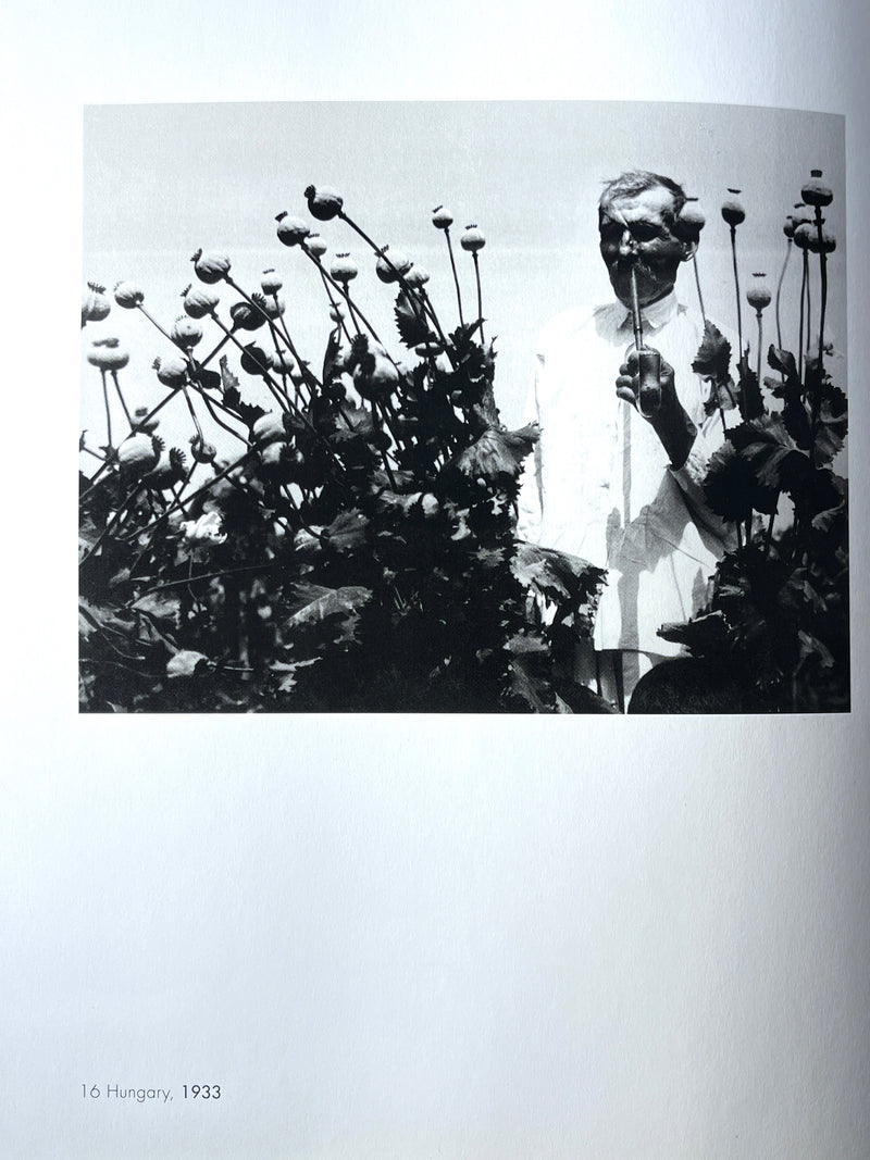 Brandt: The Photography of Bill Brandt, 1999, HC, NF, w/DJ.