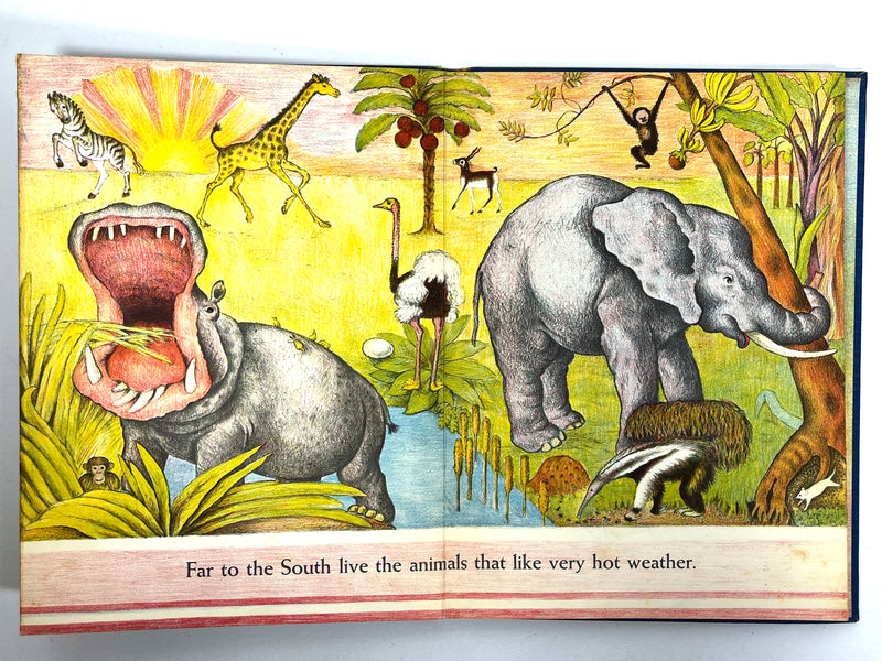 Ingri & Edgar Parin d'Aulaire, Animals Everywhere, First Edition, 1940, Very Good hardcover.