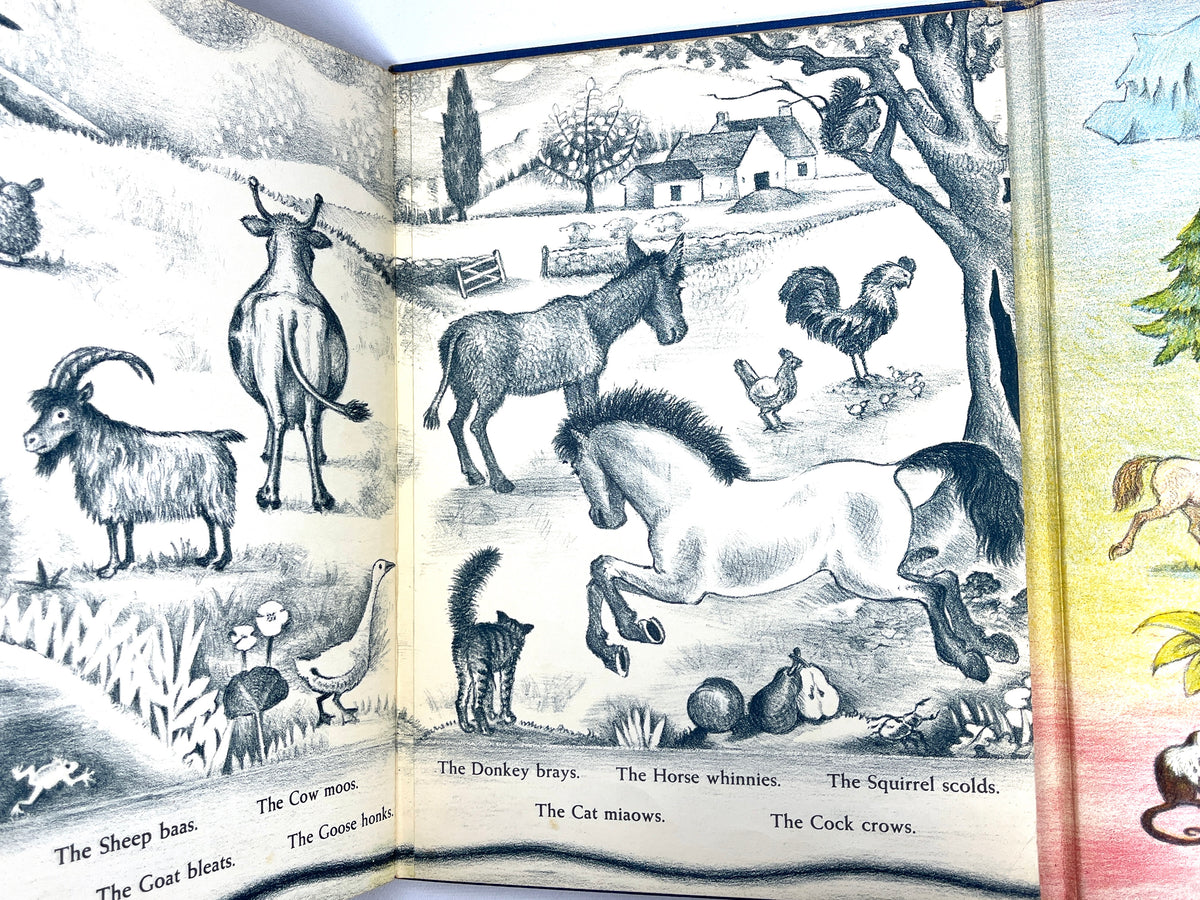 Ingri & Edgar Parin d'Aulaire, Animals Everywhere, First Edition, 1940, Very Good hardcover.