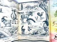 Ingri & Edgar Parin d'Aulaire, Animals Everywhere, First Edition, 1940, Very Good hardcover.