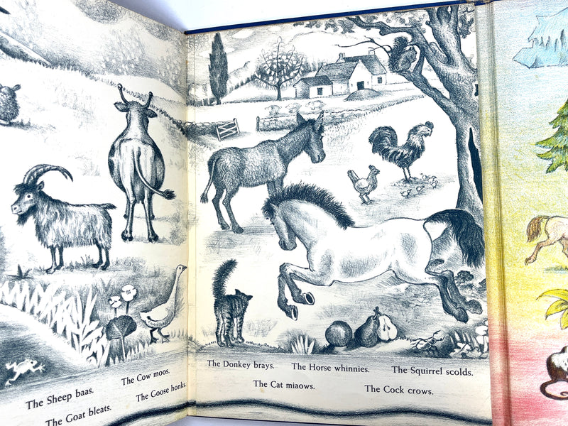 Ingri & Edgar Parin d'Aulaire, Animals Everywhere, First Edition, 1940, Very Good hardcover.