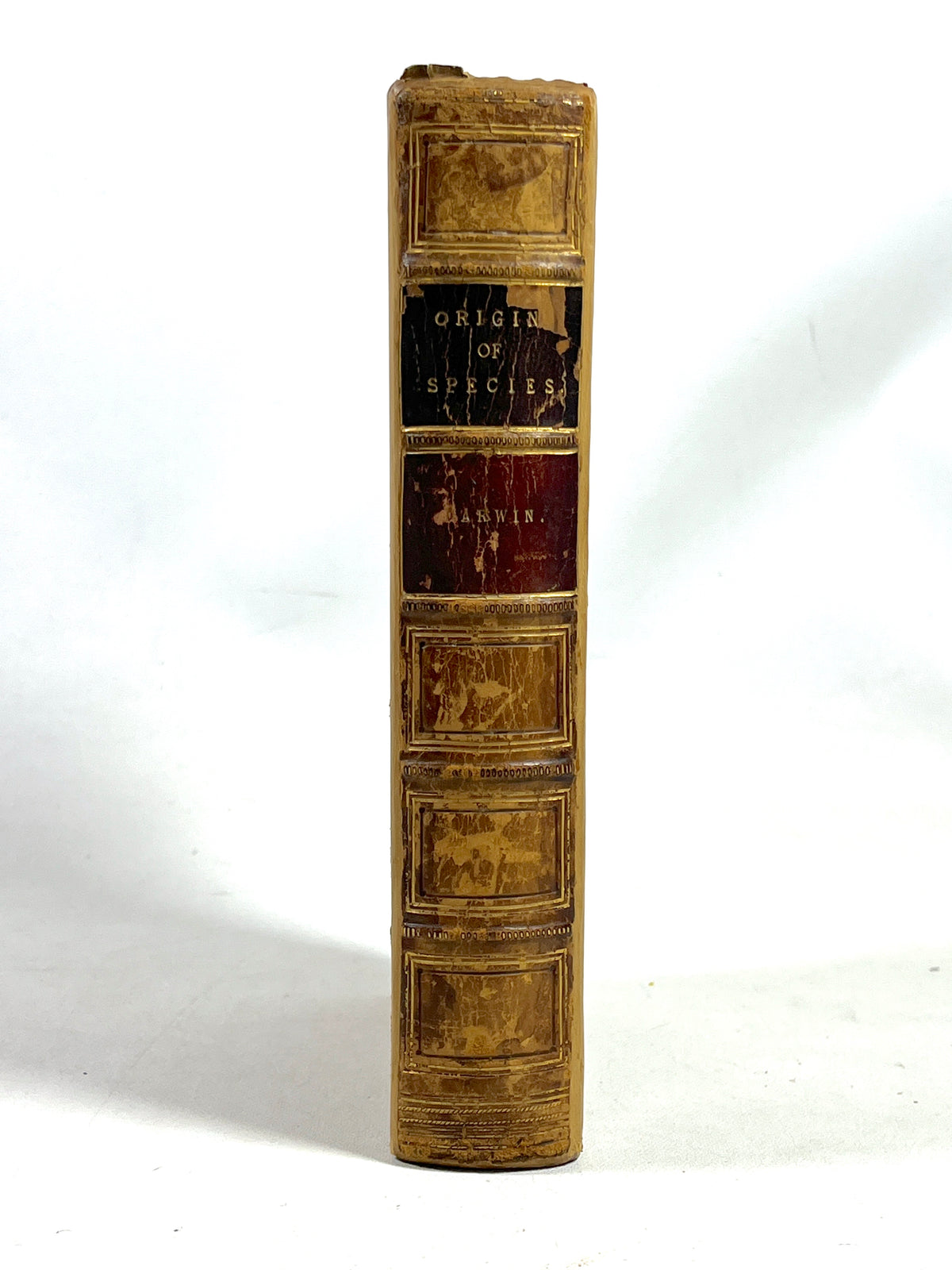 Charles Darwin, On the Origin of Species, 1860, second edition rebound, G+