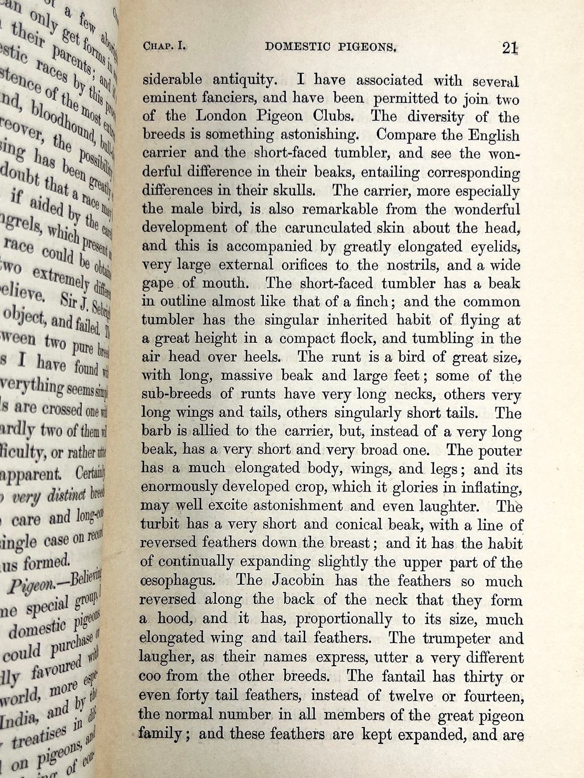 Charles Darwin, On the Origin of Species, 1860, second edition rebound, G+
