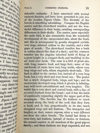 Charles Darwin, On the Origin of Species, 1860, second edition rebound, G+
