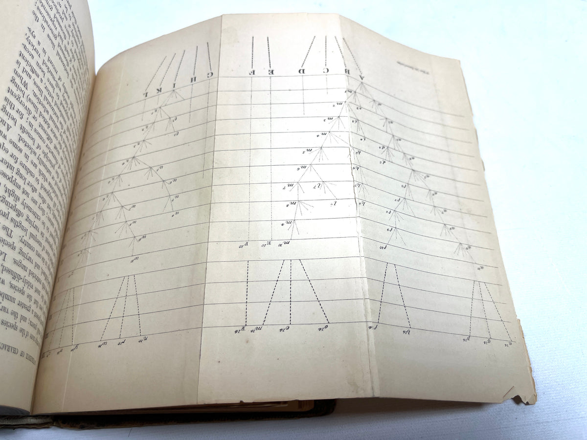 Charles Darwin, On the Origin of Species, 1860, second edition rebound, G+