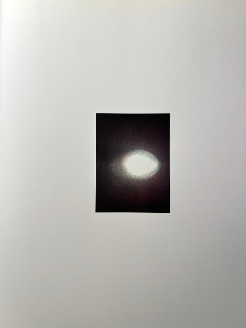 Zoe Leonard: Available Light, 1st Ed., 2014, HC, NF, w/DJ.