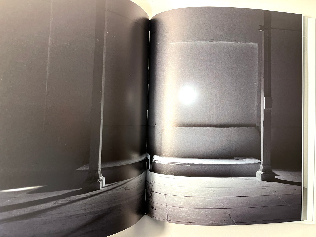 Zoe Leonard: Available Light, 1st Ed., 2014, HC, NF, w/DJ.