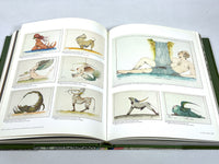 Jim Amaral: Known Worlds, Amaral Editores 2017, Fine hardcover