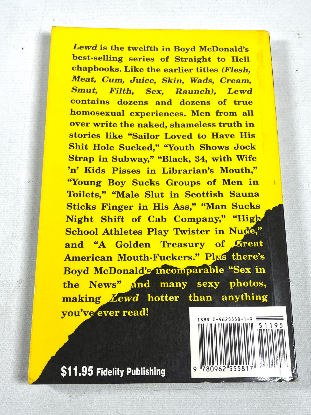 Boyd McDonald (ed.), LEWD, Fidelity Publishing 1992, VG SC, Gay Interest