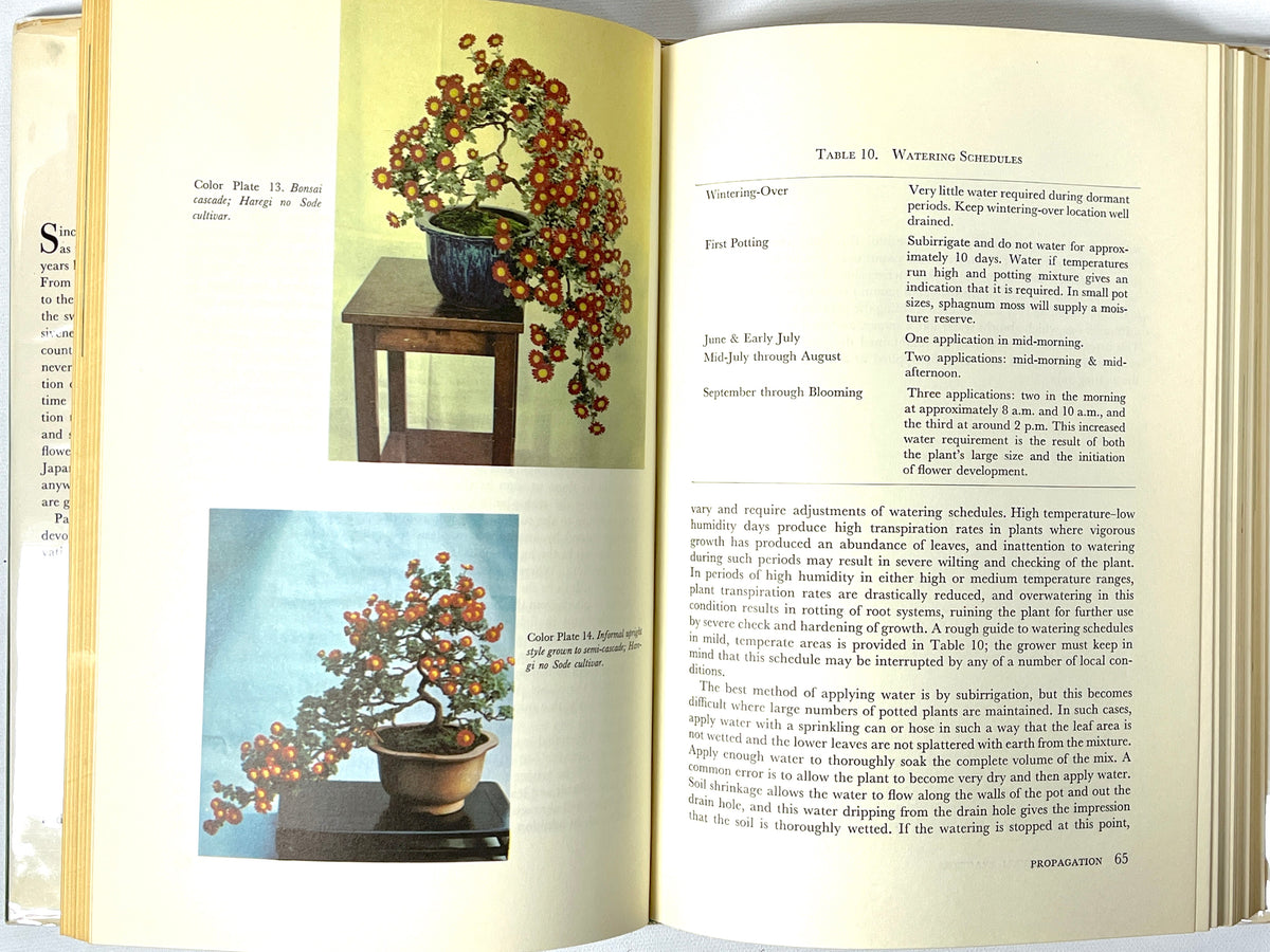 The Art of the Chrysanthemum, First Edition, RARE, 1965, Very Good+ hardcover w/DJ