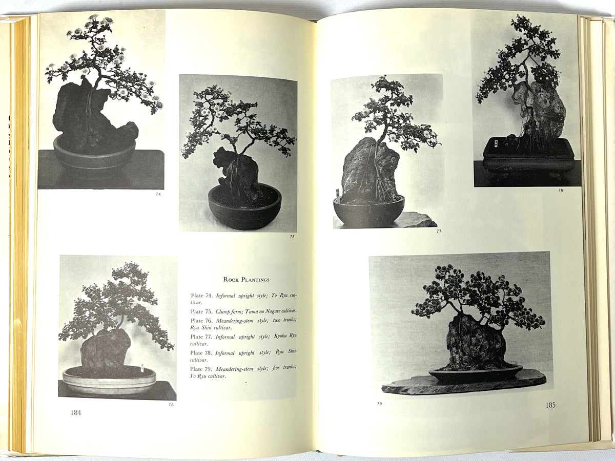 The Art of the Chrysanthemum, First Edition, RARE, 1965, Very Good+ hardcover w/DJ