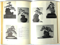 The Art of the Chrysanthemum, First Edition, RARE, 1965, Very Good+ hardcover w/DJ