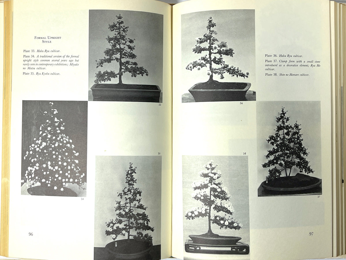 The Art of the Chrysanthemum, First Edition, RARE, 1965, Very Good+ hardcover w/DJ