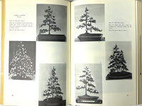 The Art of the Chrysanthemum, First Edition, RARE, 1965, Very Good+ hardcover w/DJ