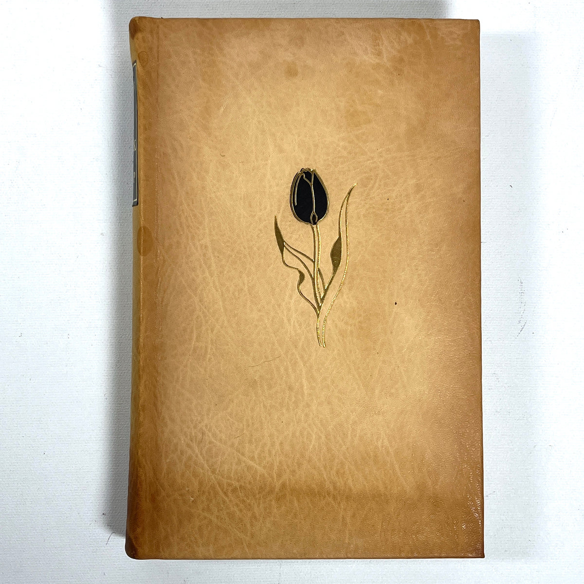 Alexandre Dumas, The Black Tulip, Illus. Frans Lammers, SIGNED VG HC, slipcase