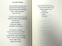 Robin van Loben Sels, Wanting a Country for this Weather and Other Poems, 1993, VG HC
