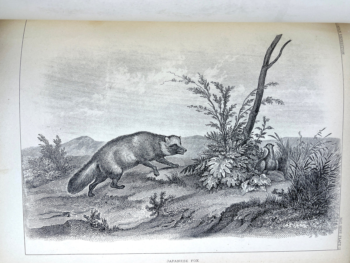 Hawks, Francis, Expedition of an American Squadron to the China Seas and Japan, 1856, VG + (Copy)