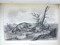 Hawks, Francis, Expedition of an American Squadron to the China Seas and Japan, 1856, VG + (Copy)