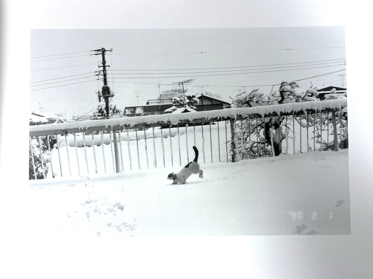 Nobuyoshi Araki, Sentimental Journey, Shinchosa 1991, Fine hardcover