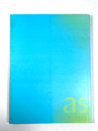 Karen Wilkin, Color As Field: American Painting 1950-1975, Yale 2007, Very Good SC