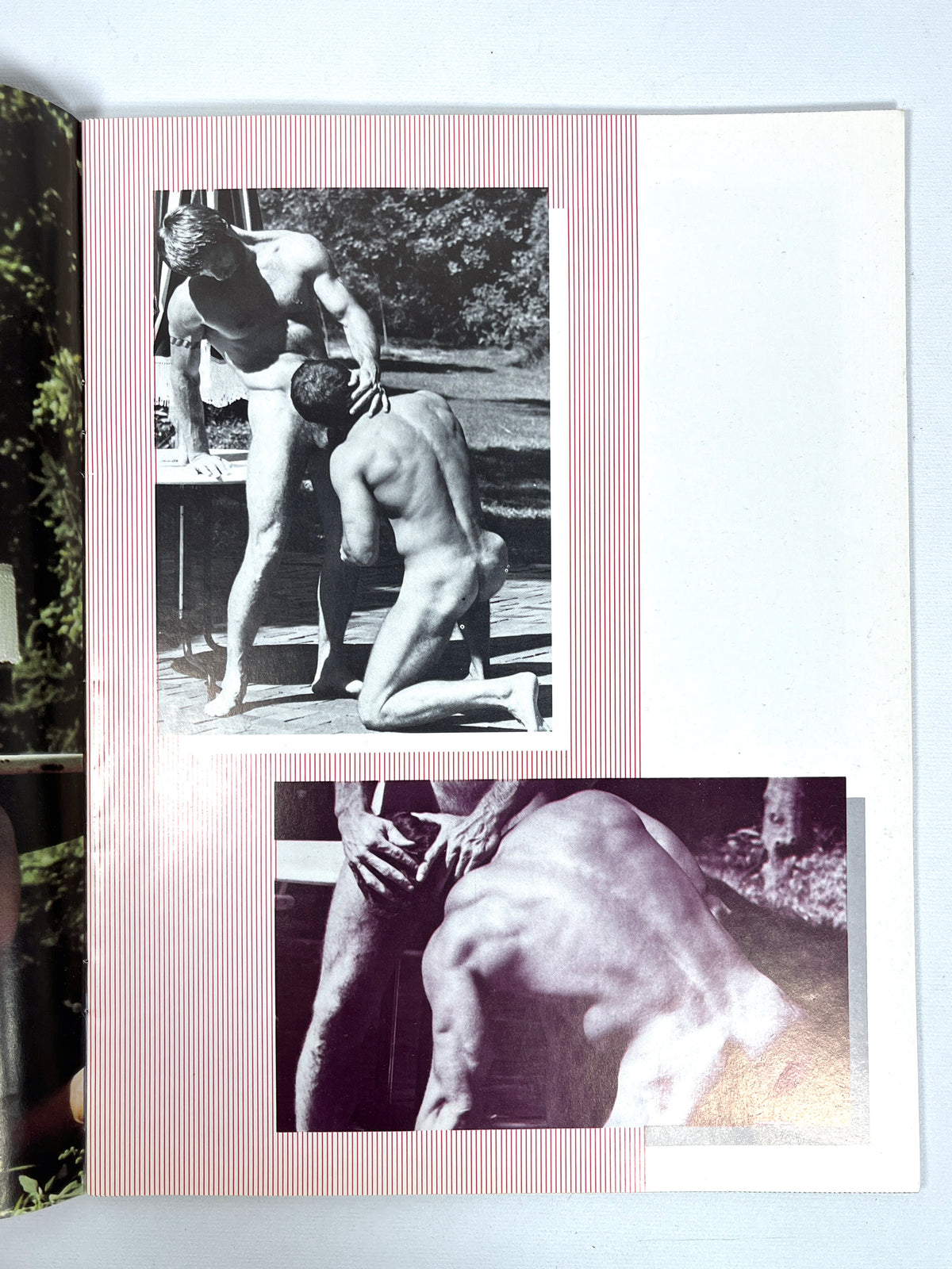 The Target Stable, Number 1, Target Studios, 1981, Very Good staplebound, gay interest