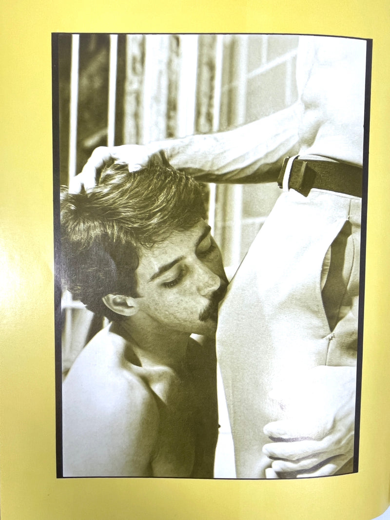 Cellblock, Hal Drake & Mike Cole, Falcon Studios, 1979, VG- staplebound, gay interest