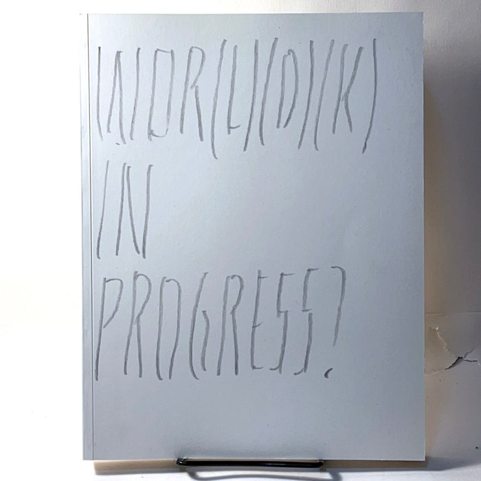 Joelle Tuerlinckx: Wor(ld)k in Progress?, 2013, Retrospective, Near Fine Catalog