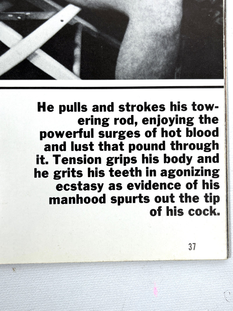 TAB, Vol. 4, No. 5, A Janus Studios Publication, 1978, Very Good+ staplebound, gay interest