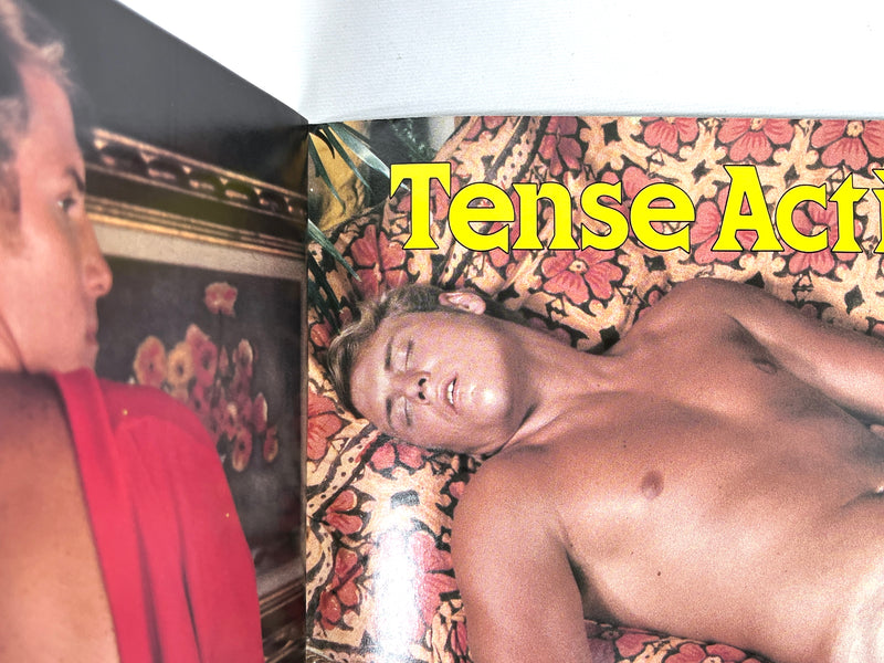 TAB, Vol. 4, No. 5, A Janus Studios Publication, 1978, Very Good+ staplebound, gay interest