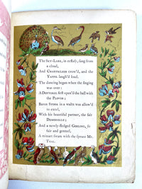 The Peacock at Home, Illuminated, 1851, Very Good hardcover antiquarian children's book