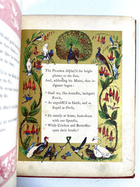 The Peacock at Home, Illuminated, 1851, Very Good hardcover antiquarian children's book