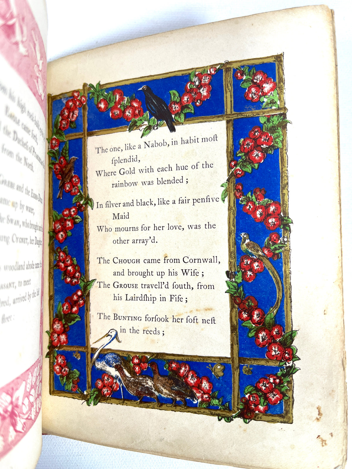 The Peacock at Home, Illuminated, 1851, Very Good hardcover antiquarian children's book