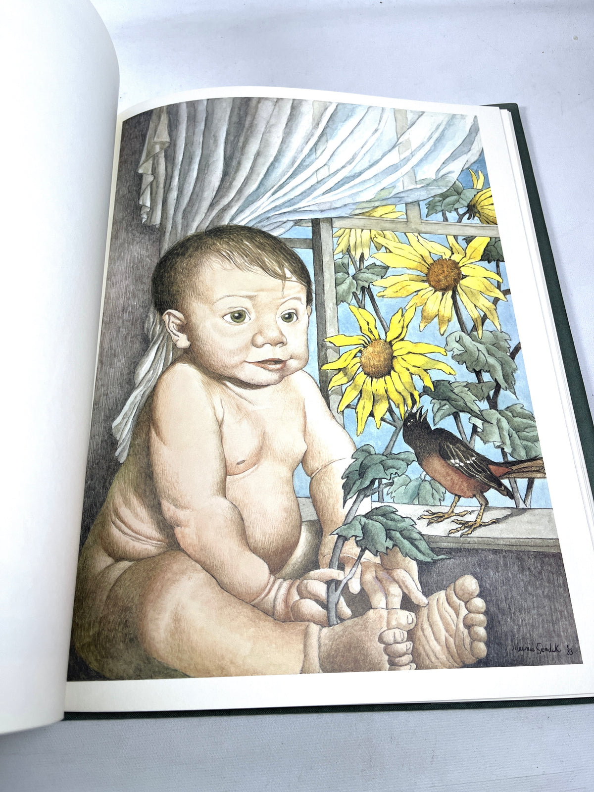 Posters by Maurice Sendak, Harmony Books, 1st Edition, 1986, RARE, Near Fine HC w/DJ