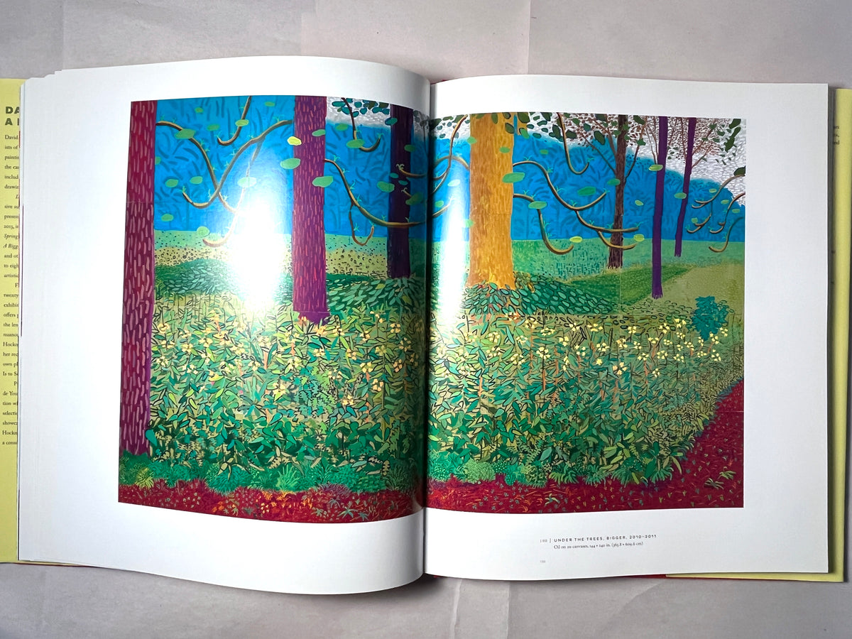 David Hockney: A Bigger Exhibition, DelMonico, 2013, Near Fine hardcover w dust jacket